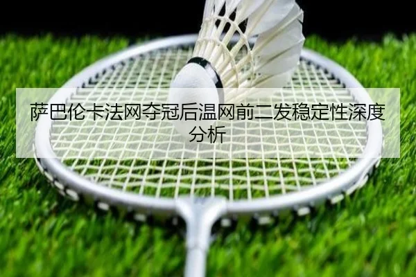sa-ba-lun-ka-fa-wang-duo-guan-hou-wen-wang-qian-er-fa-wen-ding-xing-shen-du-fen-xi-2-420.jpg